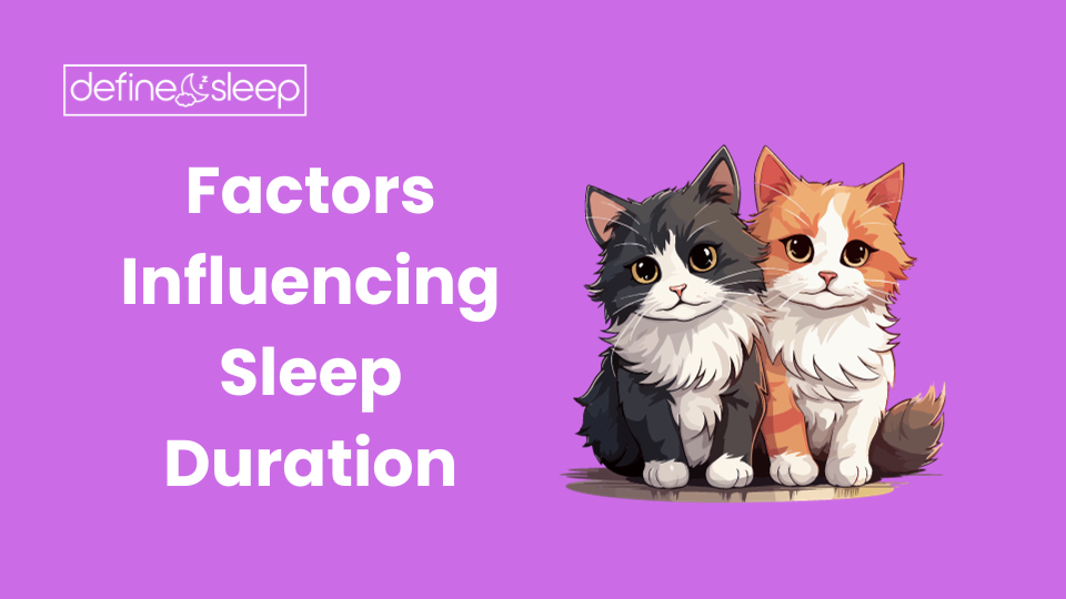 Factors Influencing Sleep Duration Define Sleep