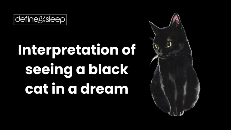 Read more about the article Interpretation of seeing a black cat in a dream