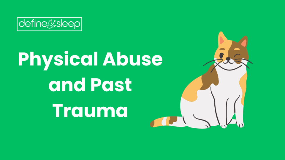Physical Abuse and Past Trauma Define Sleep
