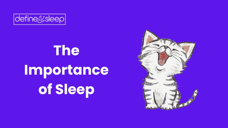 The Importance of Sleep Define Sleep